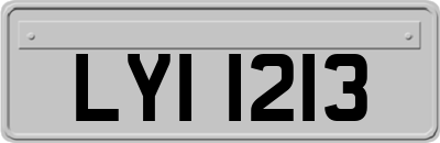LYI1213
