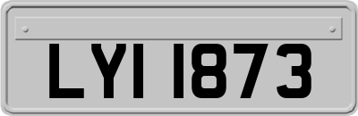 LYI1873