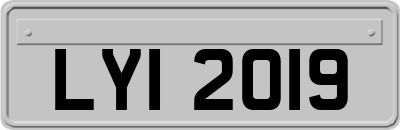 LYI2019