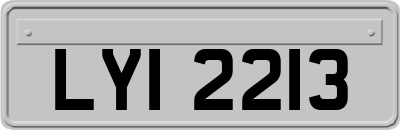 LYI2213