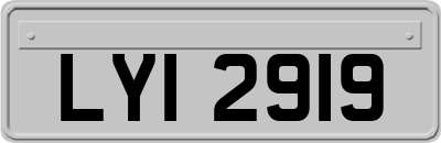 LYI2919