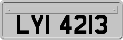 LYI4213