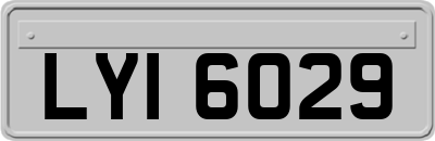 LYI6029