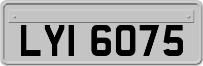 LYI6075