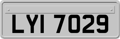 LYI7029
