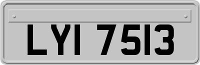 LYI7513