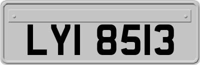 LYI8513