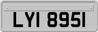 LYI8951