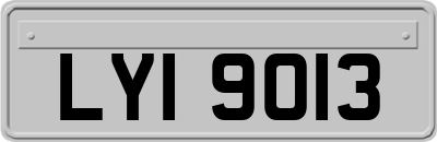LYI9013