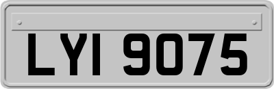 LYI9075