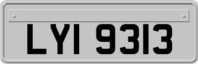 LYI9313