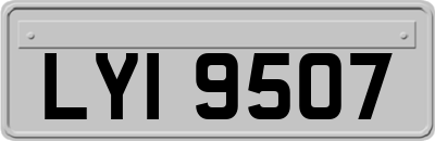 LYI9507