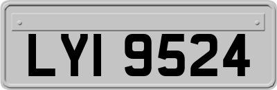 LYI9524