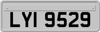 LYI9529