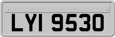LYI9530