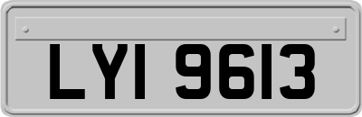 LYI9613