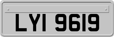 LYI9619