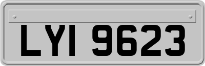 LYI9623