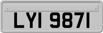 LYI9871