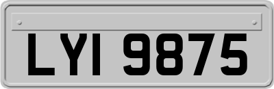 LYI9875