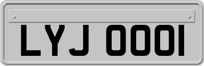LYJ0001