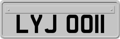 LYJ0011