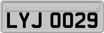 LYJ0029