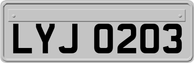 LYJ0203