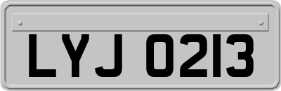 LYJ0213