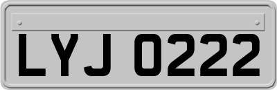 LYJ0222