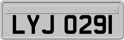 LYJ0291