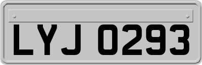 LYJ0293