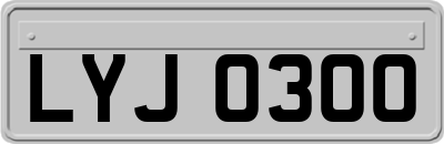 LYJ0300