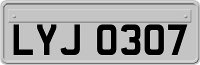 LYJ0307