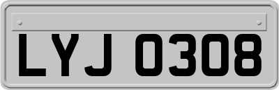 LYJ0308