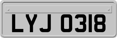 LYJ0318