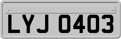 LYJ0403