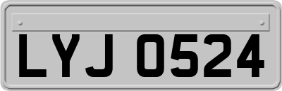 LYJ0524