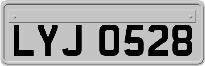 LYJ0528