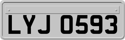 LYJ0593