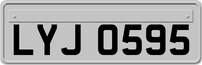 LYJ0595