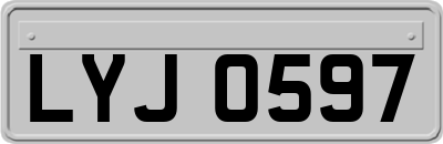LYJ0597
