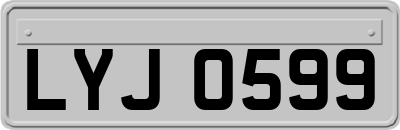 LYJ0599