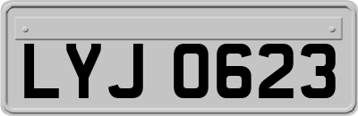 LYJ0623