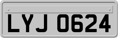 LYJ0624