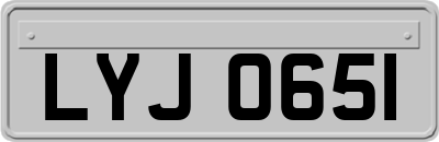 LYJ0651