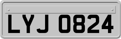 LYJ0824