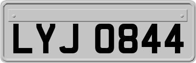 LYJ0844