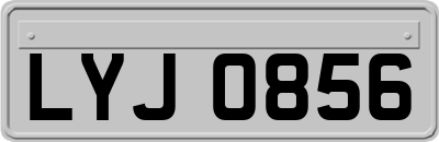 LYJ0856