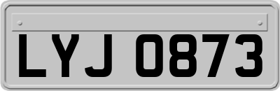 LYJ0873